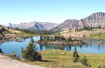 Sunshine Meadows Vistas - Guided Hike (Easy)