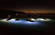 GLOW Stand Up Paddle