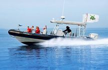 Catalina Island Trip with Hotel transfers & Optional tours