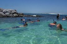 Snorkeling, Shelling & Eco Excursion from Destin
