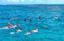 4hour Group Half Day Snorkeling Excursion in Grace Bay