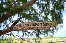 Full Day Beach BBQ Lunch & Snorkeling Excursion in Grace Bay