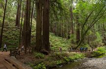 Muir Woods & Sausalito (Return by Bus or Ferry)