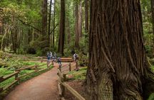Muir Woods & Sausalito (Return by Bus or Ferry)