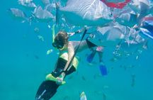Los Cabos Power snorkel Adventure, Kayaking and Stand-Up Paddle