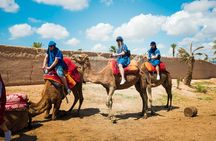  Camel Ride and Quad Biking with fresh mint Tea