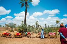  Camel Ride and Quad Biking with fresh mint Tea