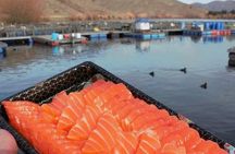 Mt Cook Small Group Scenic Day Tour from Queenstown