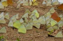 Cuc Phuong National Park Trekking Day Trip