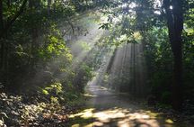 Cuc Phuong National Park Trekking Day Trip