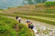 Full-Day Sapa Trekking Private Tour