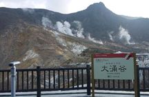 Mt. Fuji 5th Station, Owakudani Ropeway, Pirate Ship plus Outlet shopping!