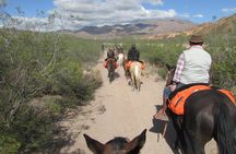 Full day ride at the foot of The Andes 
