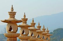 Wuxi Lingshan Grand Buddha Private Tour from Suzhou