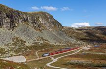 Self-Guided 22-Hour Round Trip From Oslo To Sognefjord With Flåm Railway