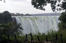 Chobe Day Trip from Victoria Falls