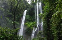 Lovina sunrise with Dolphin watching and Twin Banyumala Waterfall Day Trip
