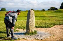 Celtic Boyne Valley & Ancient Sites Day Tour From Dublin