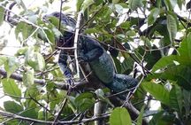 Amazing Jungle 3Days 2Nights - Amazon Wonder Expeditions