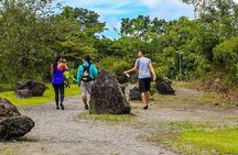 Arenal Best 4 Attractions (Full day - Combo) Incl. Lunch & Dinner