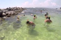 Snorkeling, Shelling & Eco Excursion from Destin