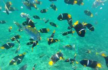 Private Los Arcos & Colomitos Snorkeling Experience