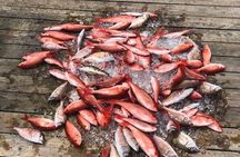 Shared Deep Sea Fishing Trip from Destin