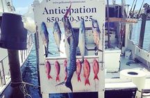 Shared Deep Sea Fishing Trip from Destin
