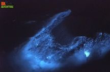 Bioluminescence Night Kayaking Tour of Merritt Island Wildlife Refuge