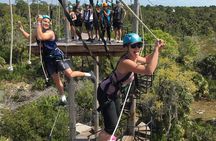 Zip Line Adventure