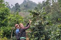 Coffee Lovers Express Coffee Tour 