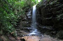 Tijuca Forest Hiking Tour including Waterfalls