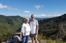 Half Day Martinborough Winery Tour from Wellington