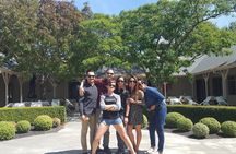 Half Day Martinborough Winery Tour from Wellington