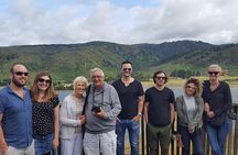 Half Day Martinborough Winery Tour from Wellington