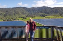 Martinborough Winery Private Tour