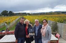 Martinborough Winery Private Tour