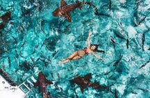 Belize Hol Chan Marine Reserve & Shark Ray Alley Snorkel Tour - Ambergris Caye