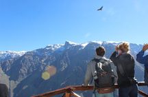Colca Full Day Tour