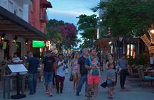 Combo Tour: Tulum, Cenote and 5th Avenue in Playa Del Carmen from Cancun