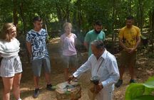 Ek Balam Tour from Cancun Including Cenote Maya Park