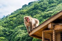 Afternoon Arashiyama Bamboo Forest & Monkey Park Kyoto Bike Tour
