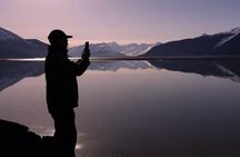 Beluga Point Adventure with Wildlife Refuge Walk