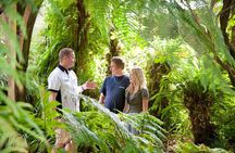 Private Auckland Wine & Dine Kumeu Country & Cuisine