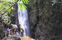 Small-Group Jungle Hiking Excursion in Khao Phra Teaw Park