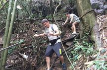 Small-Group Jungle Hiking Excursion in Khao Phra Teaw Park