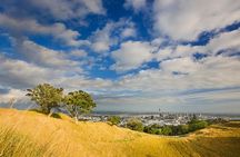 Private Auckland Volcanoes Luxury Tour
