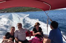Private day tour to Golden horn, Brač and island Hvar