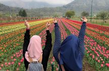 Private 5-Day Kashmir Tour Package from Srinagar