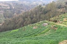 Hiking & city tour in Kathmandu with community Volunteering